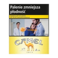 Camel Yellow XL (8 x 22 Zig/Stange)